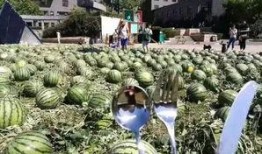 朝阳吃瓜群众,揭秘都市生活百态